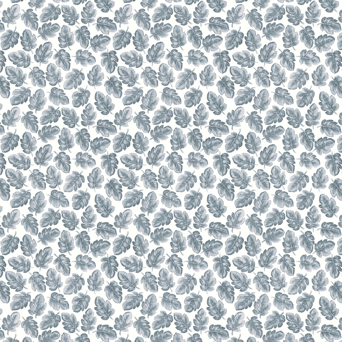 The Collector's Home Nature's Jewel Canopy C