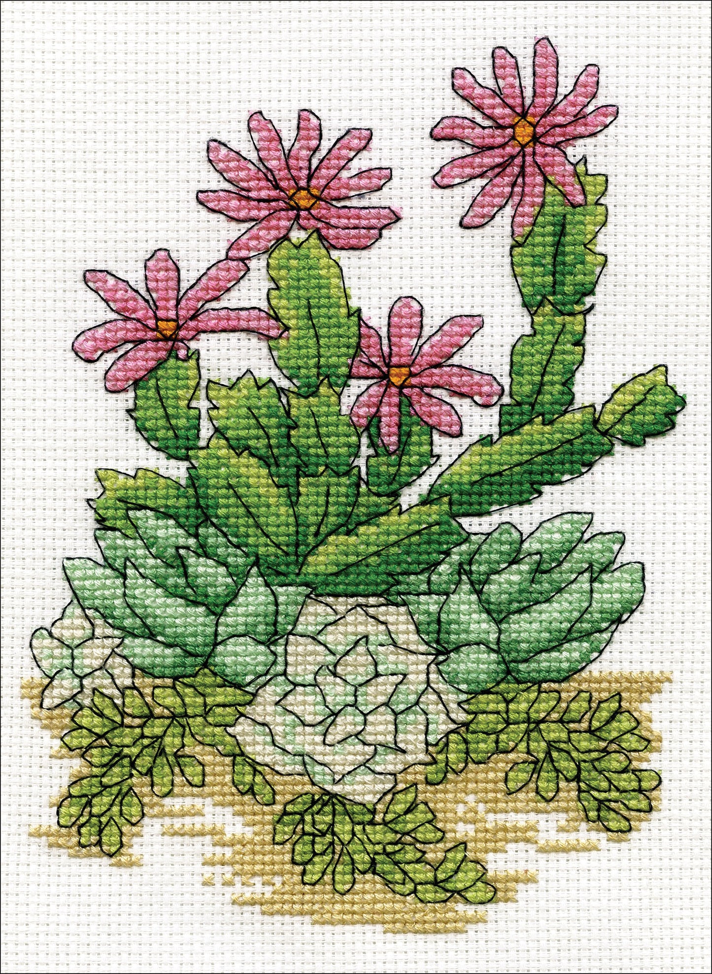 Design Works Counted Cross Stitch Kit 5"X7" Cactus