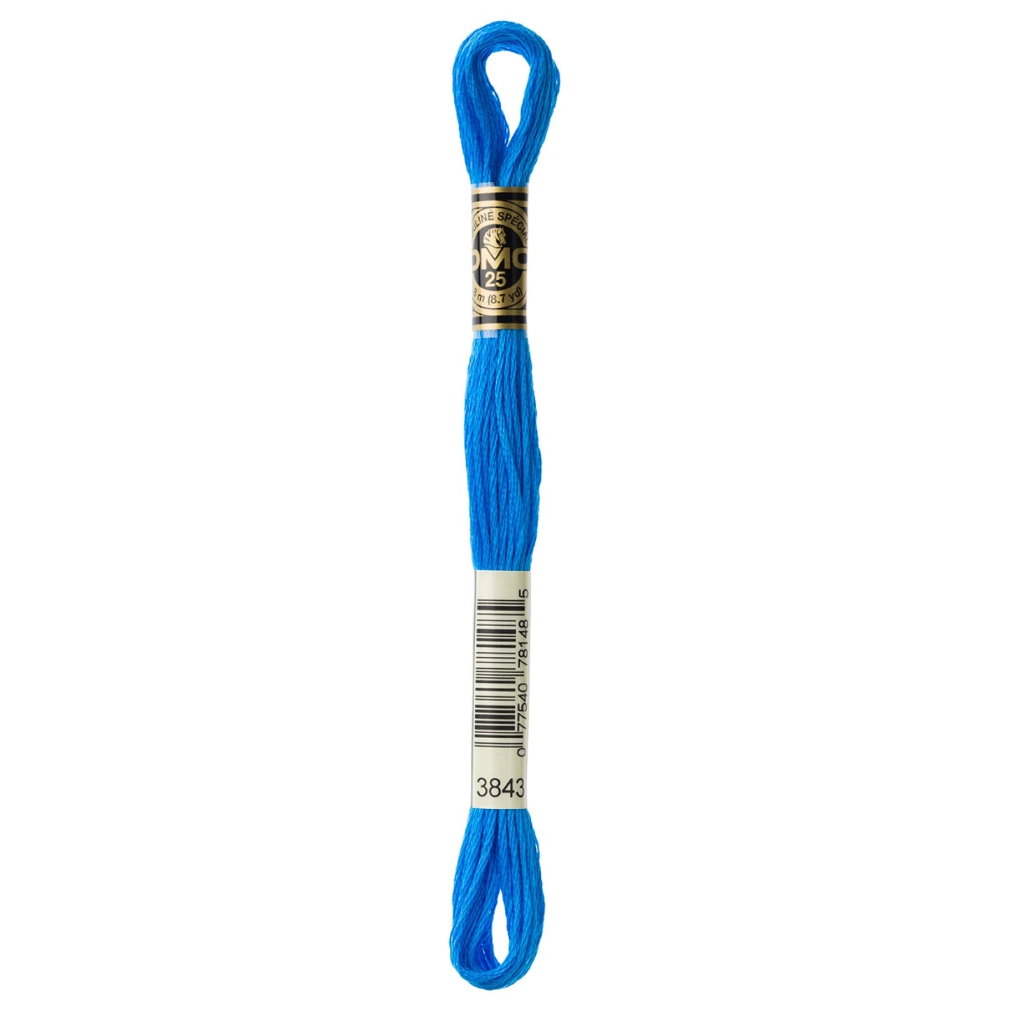 Floss 3843 Electric Blue