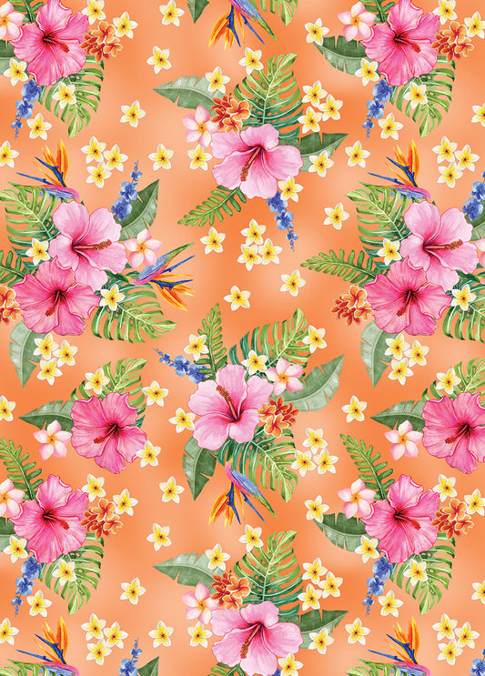 Hibiscus Paradise Melon