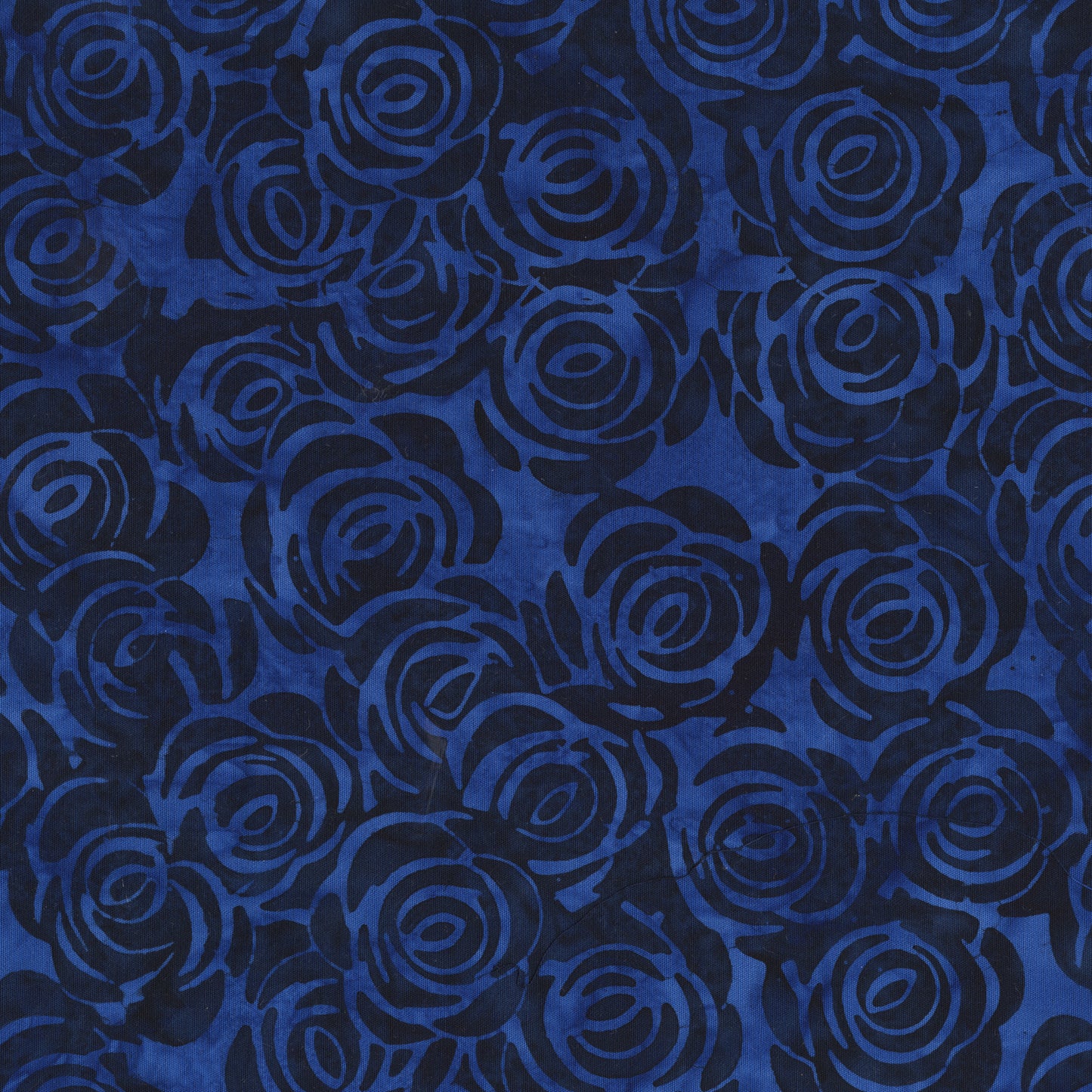 Dutchy Blues, Rosebush, Blue Batik