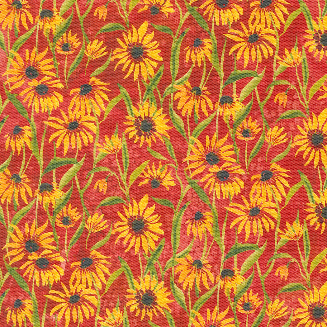 Floribunda Spice 39805 14