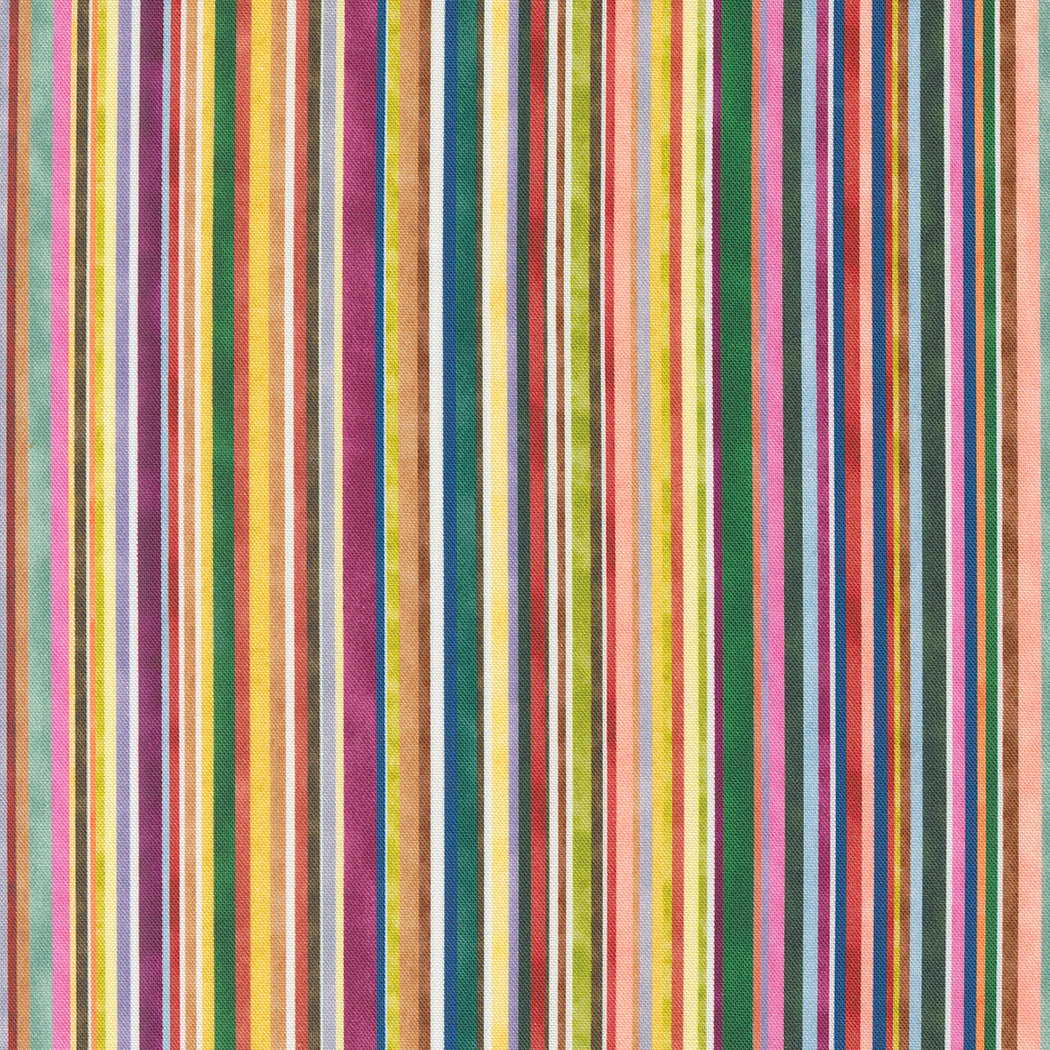Floribunda Rainbow 39811 11