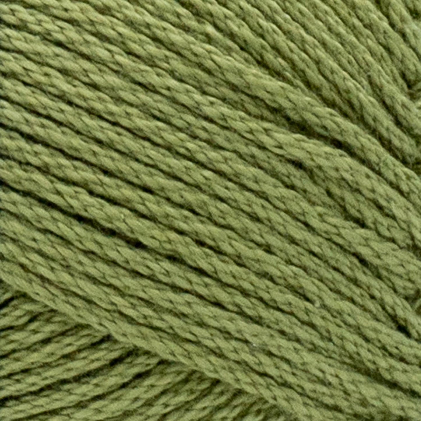 24/7 Cotton® Yarn - Bayleaf