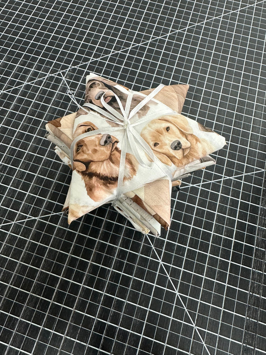 FQ - 14 -Paw & Whisker - Fat Quarter Bundle