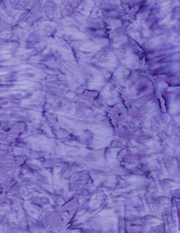 Lava Solids - 100Q-1536 Anemone - Batik