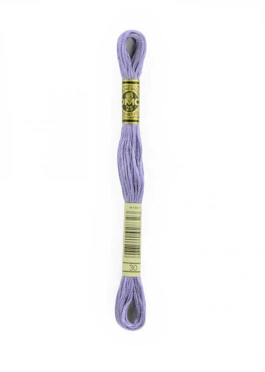 Floss 030 Medium Light Blueberry