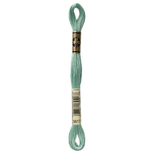 Floss 3817 Light Celadon Green