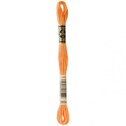 Floss 3854 Medium Autumn Gold