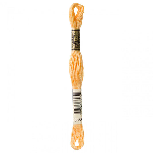 Floss 3855 Light Autumn Gold