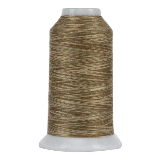 Omni-9062-Pebble Beach- Variegated Polyester Thread 40wt 2000yd