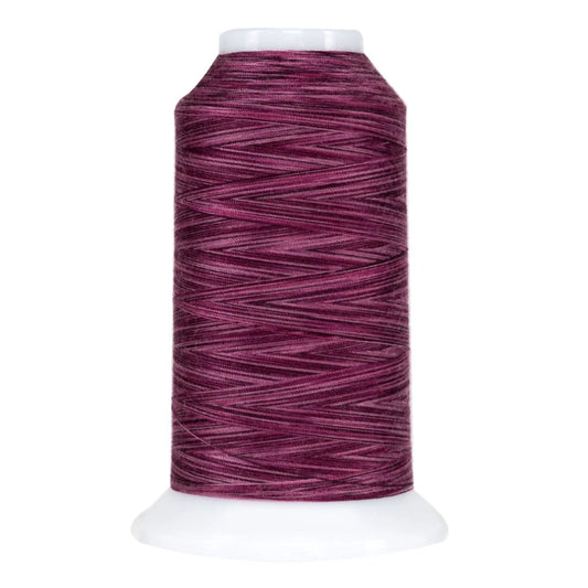 Omni-9072-Bumbleberry- Variegated Polyester Thread 40wt 2000yd