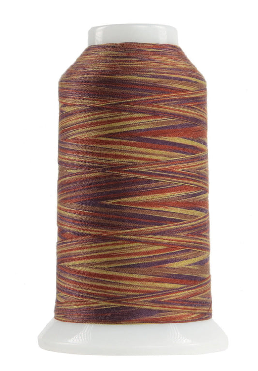 Omni-9149-Chenille Variegated Polyester Thread 40wt 2000yd