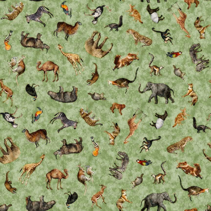 Safari Dreams Animal Toss H