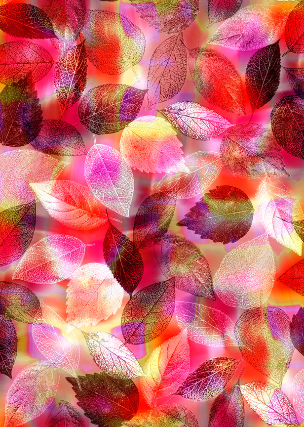 3-Yard-Curated-Bundle 223