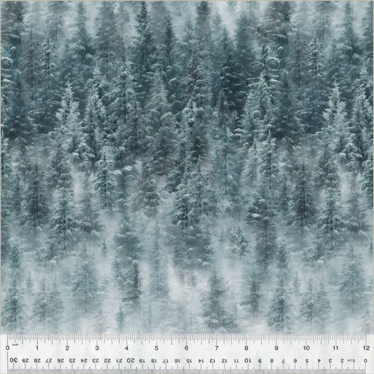 Landscapes, Misty Pines, Mist, Cotton