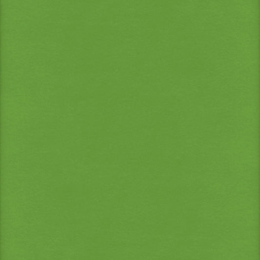 Flannel Solid Kelly Green