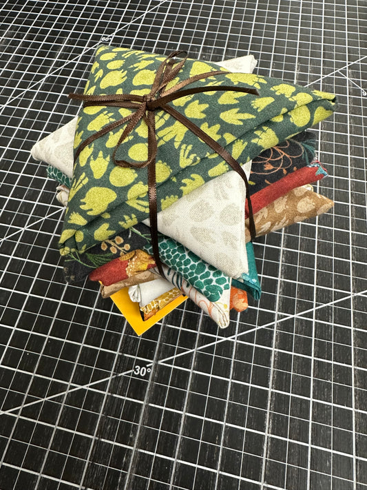 FQ-13-Age of the Dinosaurs Bundle