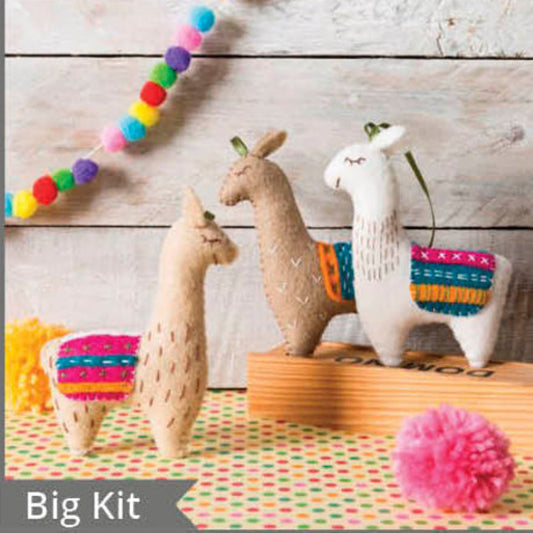 Corrine Lapierre Llamas, Big Kit