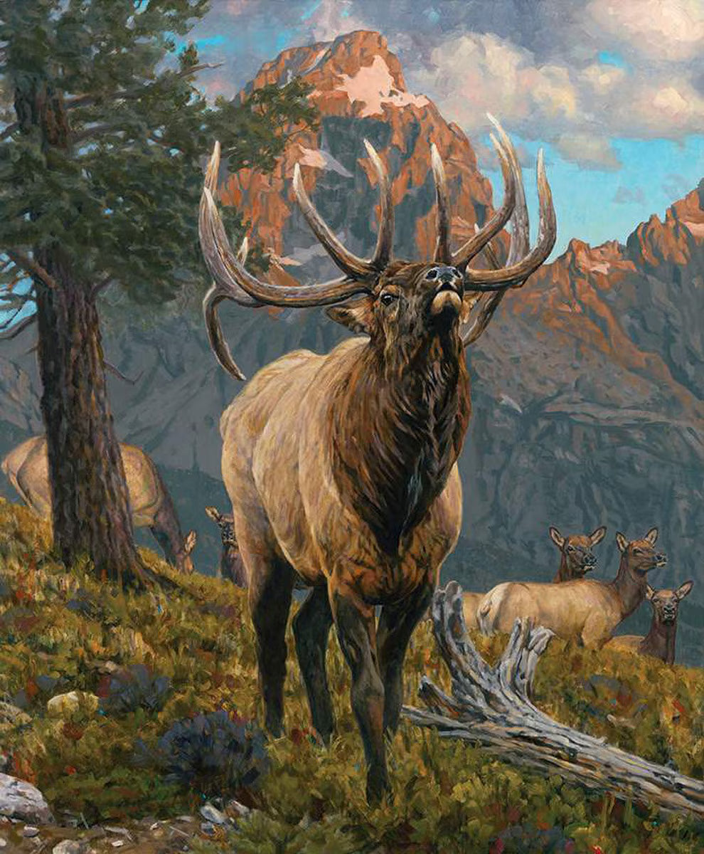 Majestic in Nature Grand Elk Panel 36" x 43"