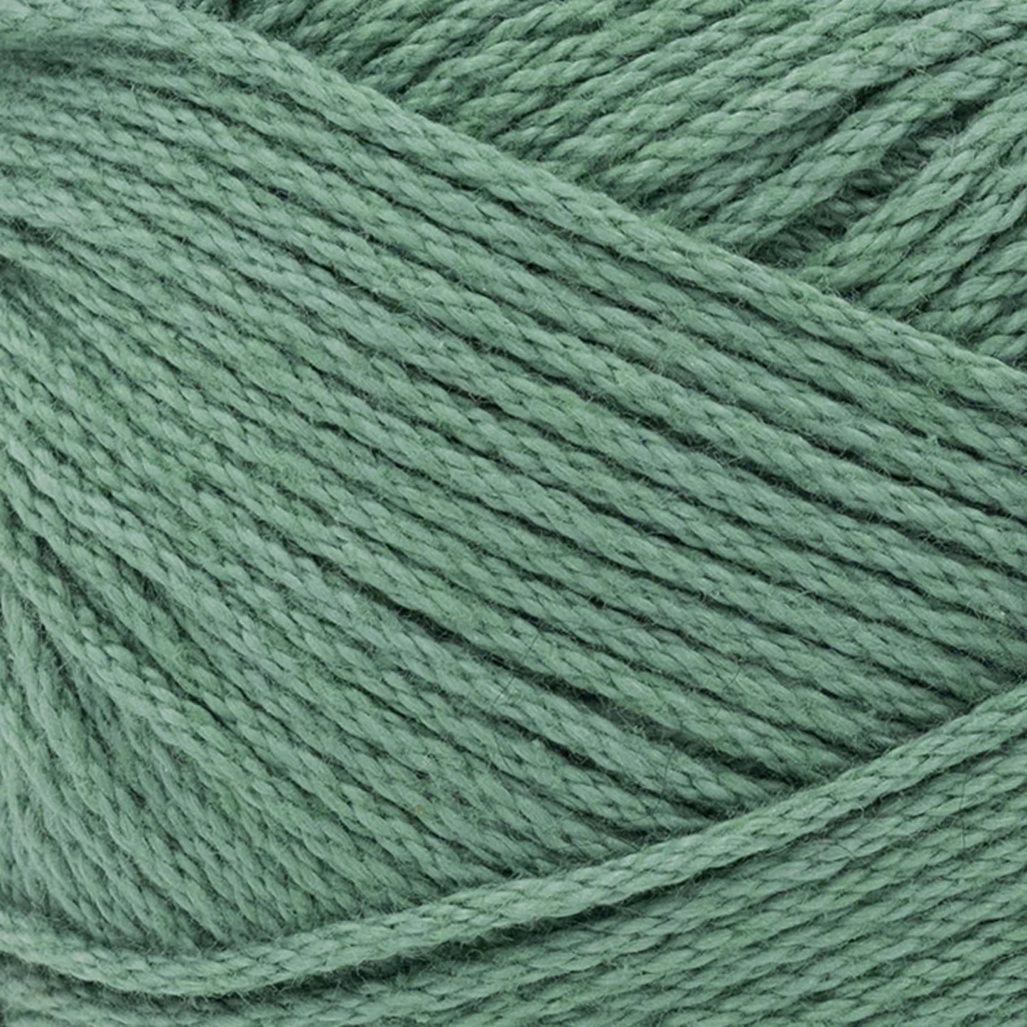 24/7 Cotton® Yarn - Spruce