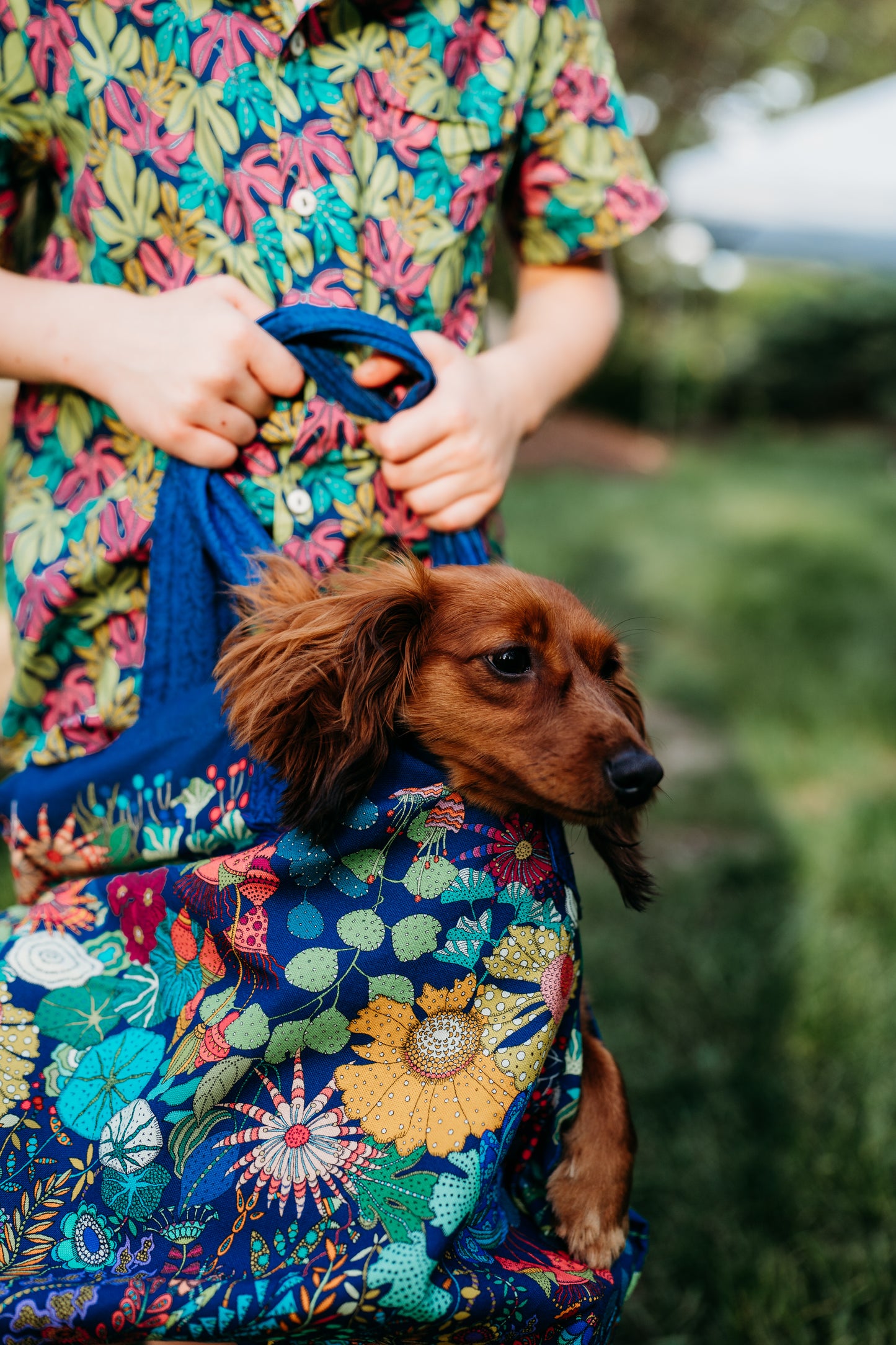 Sunshine Bag Panel