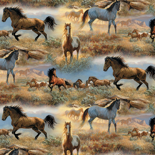Horse In The Prairie / Multi DT040425